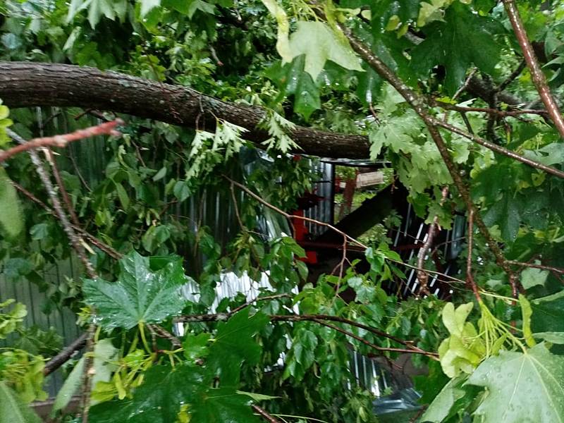 Na psí kotce a na garáž spadly Ivanovi Horáčkovi z Chlumu u Třeboně při sobotním dešti a větru čtyři stromy.