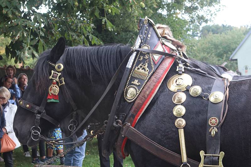 Staročeské dožínky v Boršově nad Vltavou uspořádala tamní obec baráčníků.