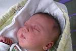 Prvním miminkem rodiny Nešverových je holčička s krásným jménem Laura Lucie Nešverová. Narodila se 29.3.2011 v 10 hodin a 25 minut s úctyhodnou porodní váhou 4,46 kg. Na její příjezd už se moc těší rodina v Českých Budějovicích.