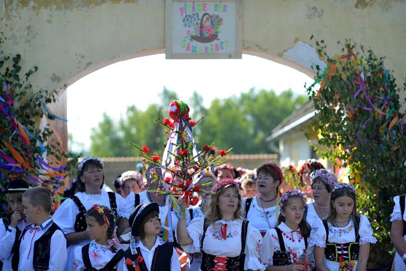 Vesnická zábava pořádaná ke konci léta na znamení ukončení sklizní je podle tradic vyhrazená hlavně svobodným děvčatům a vdaným ženám. Ve Zbytinách se Konopické ujaly Zbytinské baby.