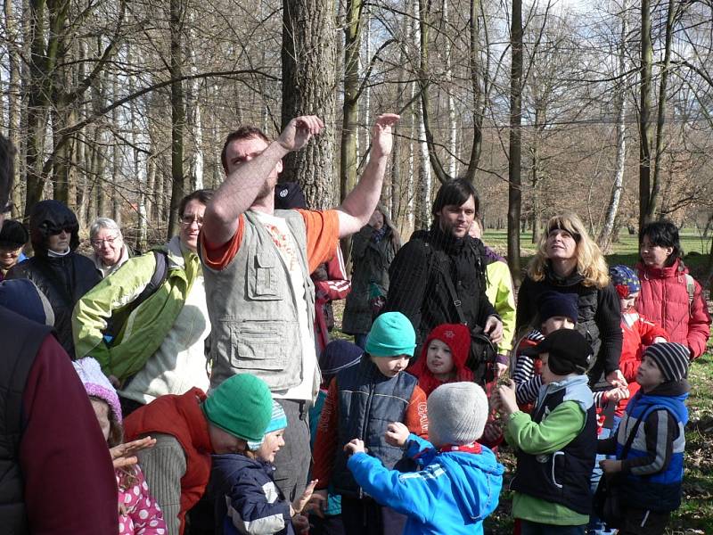 Českobudějovický park Stromovka je domovem desítek ptačích druhů. Konají se sem i ornitologické vycházky.