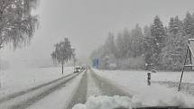 Jižní Čechy jsou pod sněhem. Na snímku situace na silnici z Lišova do Českých Budějovic.