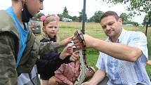 Příměstský tábor VSKH Pohodáři na malé farmě u Pilmanova rybníka v Českých Budějovicích.