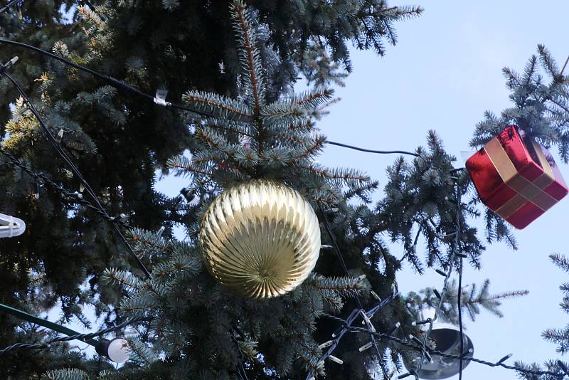 Vánoční strom v Českých Budějovicích.