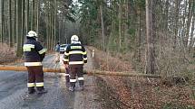 Hasiči zasahovali u popadaných stromů přes cestu v Dolním Bukovsku.