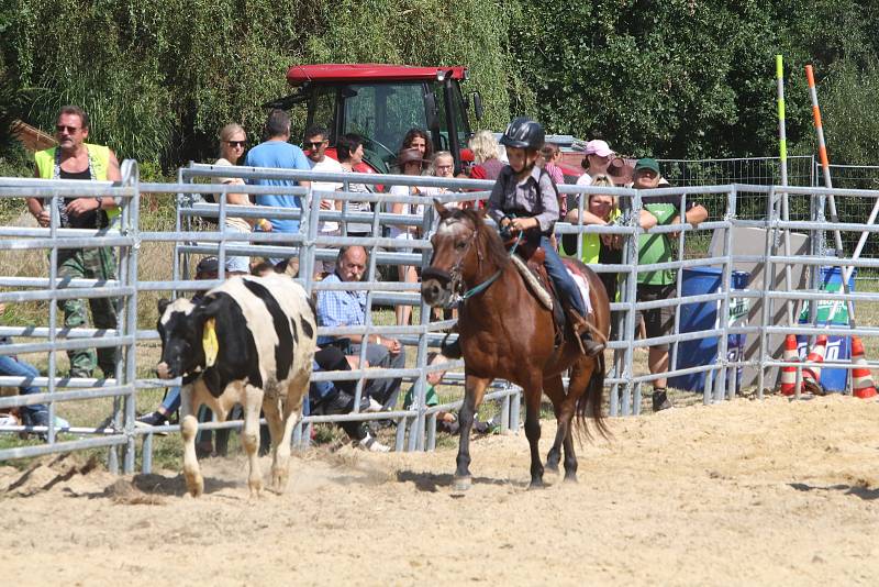 Boršovské slavnosti v kempu Poslední štace v Boršově nad Vltavou.