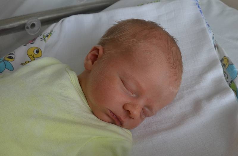Ondřej Brabenec z Písku. Prvorozený syn Petry Brabencové a Martina Petrželky se narodil 15. 8. 2022 v 13.03 hodin. Při narození vážil 3200 g a měřil 49 cm.