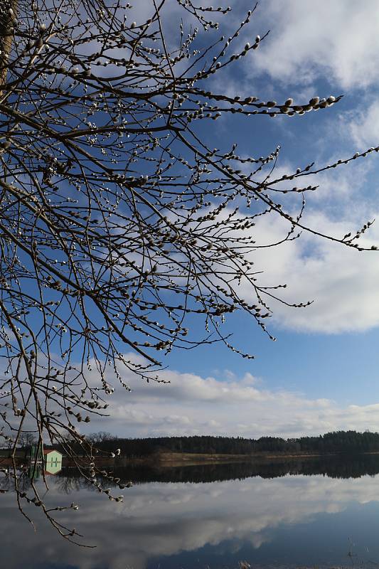 Rybník Žár u Nových Hradů v okrese České Budějovice je největší rybník v podhůří Nových Hradů a Trhosvinenska. Zároveň to je jeden z nejdříve doložených rybníků v České republice.