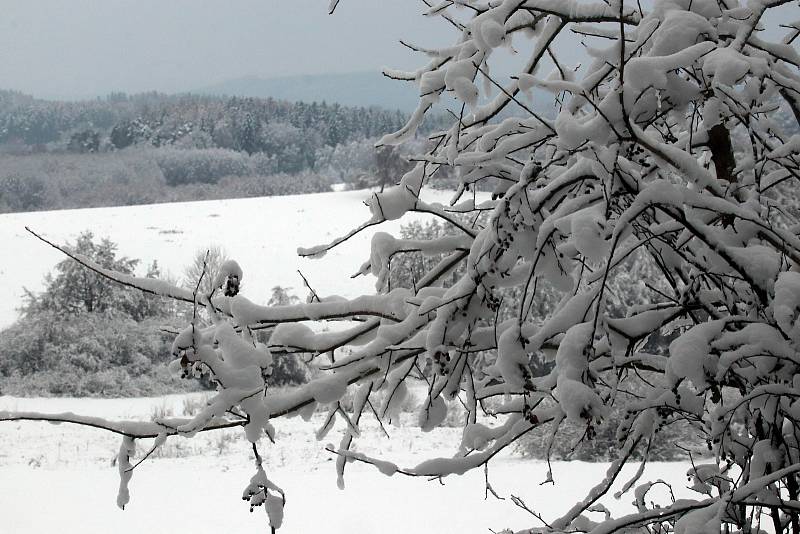 Sníh v Dobré a Hojné Vodě u Nových Hradů.