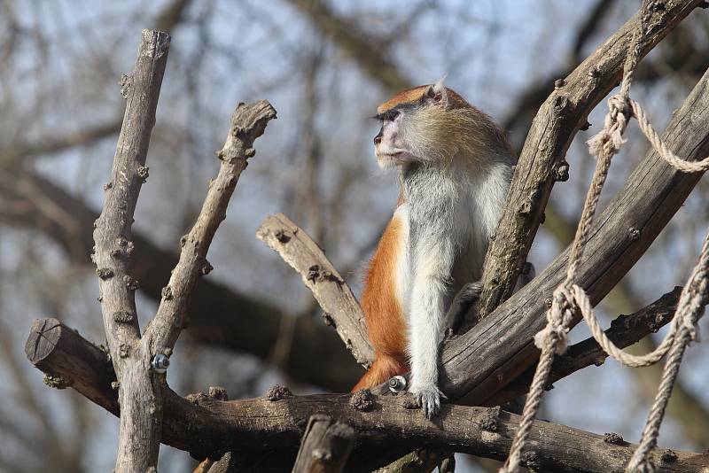 Obyvatelé (a pracovníci) ZOO Ohrada.