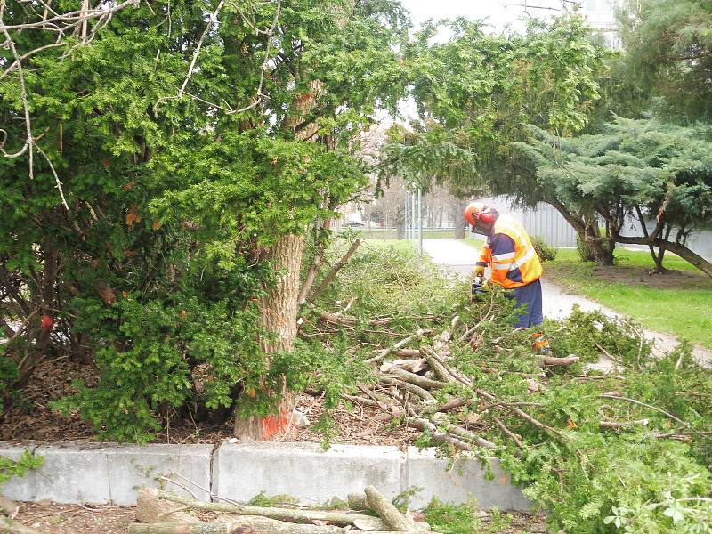 Stavba nového křídla Jihočeské vědecké knihovny na Lidické začala. Vybrána byla při výběrovém řízení firma OHL ŽC.