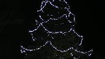 Vánoční strom svítí ve Včelné od neděle 1. prosince.