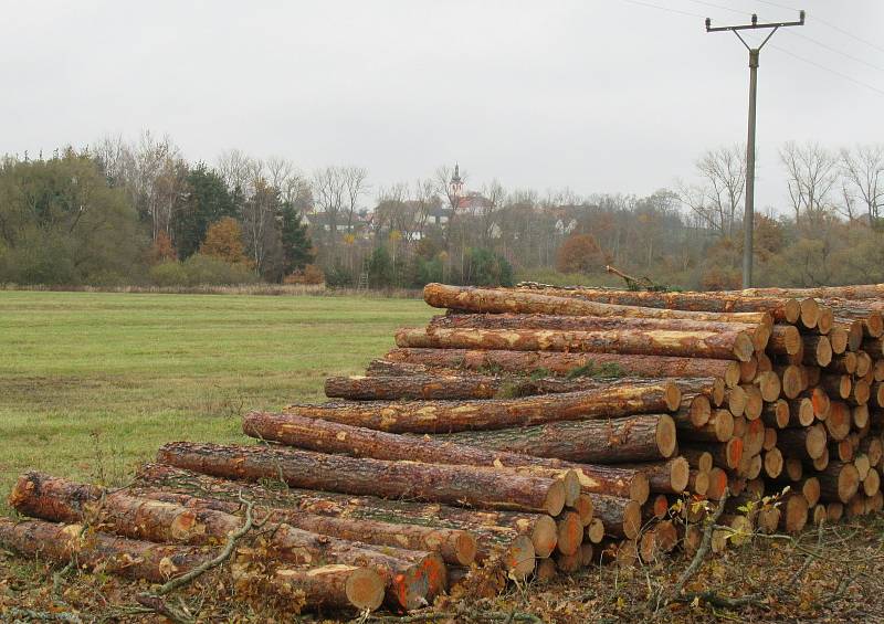 Projekt pískovny, který se nesetkal s přízní místních obyvatel, posléze dostal zelenou. Místní se obávali hluku, prachu i negativních dopadů na krajinu a život v sousedním Dráchově.