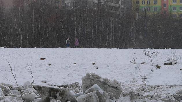 Zima v roce 2006 naplnila koryto Vltavy mohutnými ledovými krami.