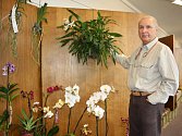 Karel Willinger má tisíce orchidejí, dokonce objevil i úplně nový druh.