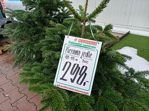 Prodej vánočních stromků v Českých Budějovicích. Obchod BAUHAUS.