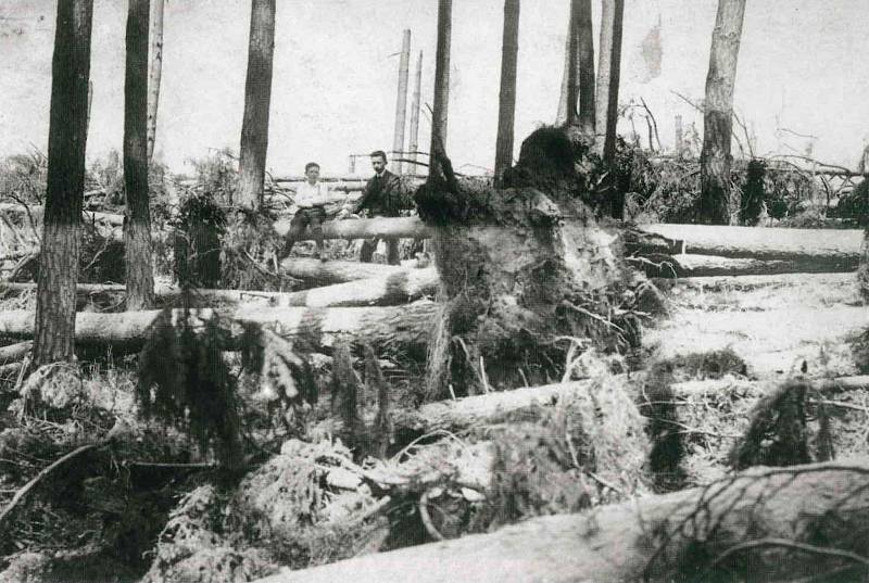 Polomy způsobené větrnou smrští v roce 1916 u Borku.