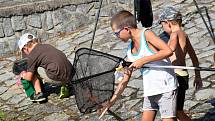 V sobotu se v Hostech uskutečnil dětský rybářský závod.
