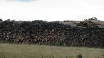 Kalamita způsobená lýkožroutem smrkovým v jižních Čechách po sobě zanechává planiny, napadené dřevo je třeba rychle odtěžit a asanovat.