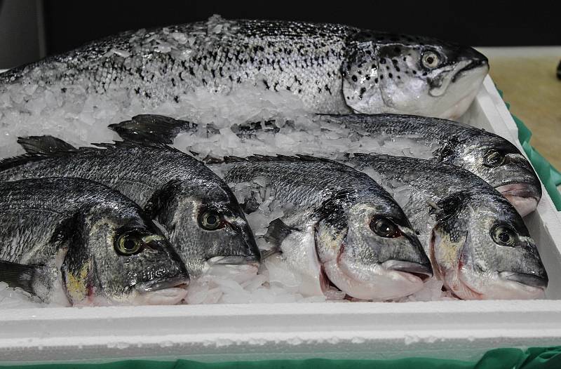 Čtenáři Deníku vařili s Honzou Krobem, majitelem a lektorem Fine Food Academy.