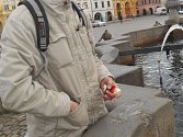 Rozmrzlá Samsonova kašna na náměstí Přemysla Otakara II. v Českých Budějovicích přilákala hledače mincí, kteří drobné loví za pomoci provázku s magnetem na konci.