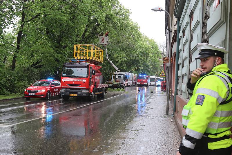 Strom spadl v ulici Na sadech v Českých Budějovicích do troleje. Doprava v krajském městě kolabuje.