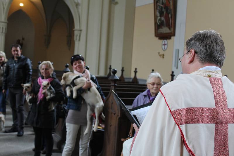 V kostele sv. Jana Nepomuckého v Hluboké nad Vltavou žehnali v sobotu domácím mazlíčkům.