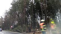 Před Lišovem ve směru od Českých Budějovic spadl strom na silnici a jeden byl nalomený. Doprava zde asi půl hodiny stála, než hasiči překážku odstranili.