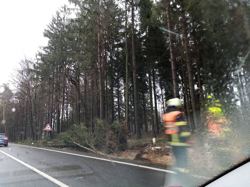 Před Lišovem ve směru od Českých Budějovic spadl strom na silnici a jeden byl nalomený. Doprava zde asi půl hodiny stála, než hasiči překážku odstranili.