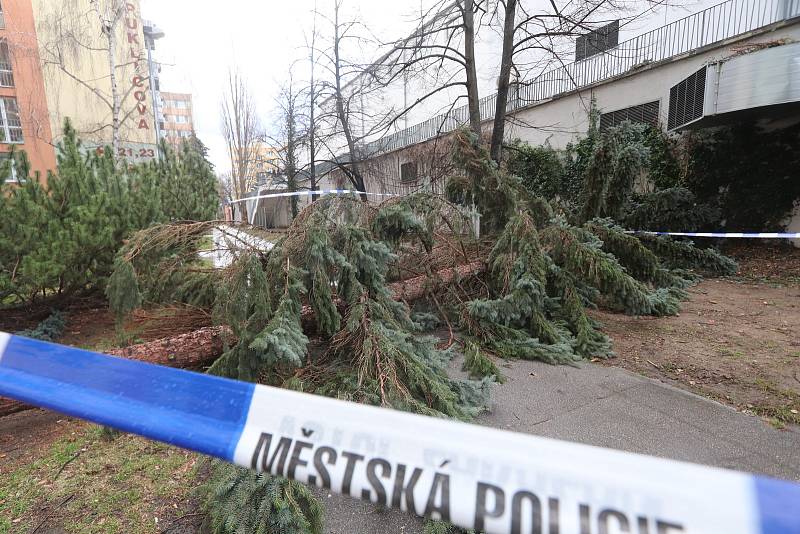 Extrémně silný vítr v Českých Budějovicích na Pražském předměstí vyvrátil stromy.