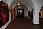 Alšova jihočeská galerie pořádá mimořádně ve Wortnerově domě novou výstavu. Expozice Člověk člověku člověkem končí 8. června.
