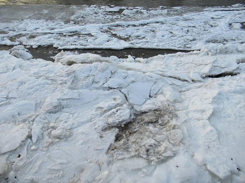 Kry se nahromadily v korytě řeky v Kolodějích nad Lužnicí, ve čtvrtek 18. února už byl průtok volný a pomalu odtávaly.