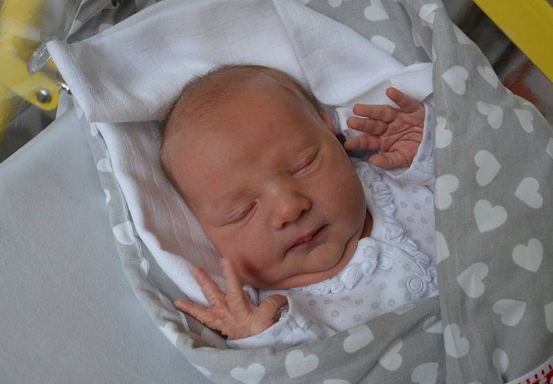 Natálie Matoušková z Bošic u Čkyně. Dcera Aleny a Jana Matouškových se narodila 23. 11. 2021 v 5.11 h, vážila 4,02 kg. Doma ji přivítala 3,5letá sestra Anežka.