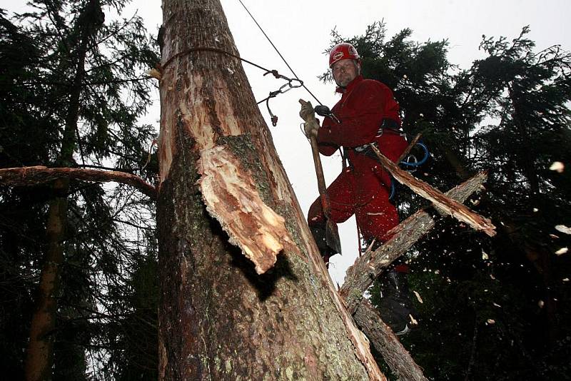 Odkorňování kůrovcem napadených stromův I. zóně národního parku na šumavské Smrčině vrcholí. Do pátku budou práce hotové. Od začátku června se ve zdejším lese vystřídalo kolem padesáti lidí. Odkornili k tisícovce stromů. Práce zde musejí být hotové včas, 