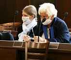 V Českých Budějovicích začal soud se ženou obviněnou z vraždy syna.