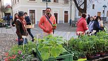 Farmářský trh na Piaristickém náměstí v Českých Budějovicích je opět otevřen.