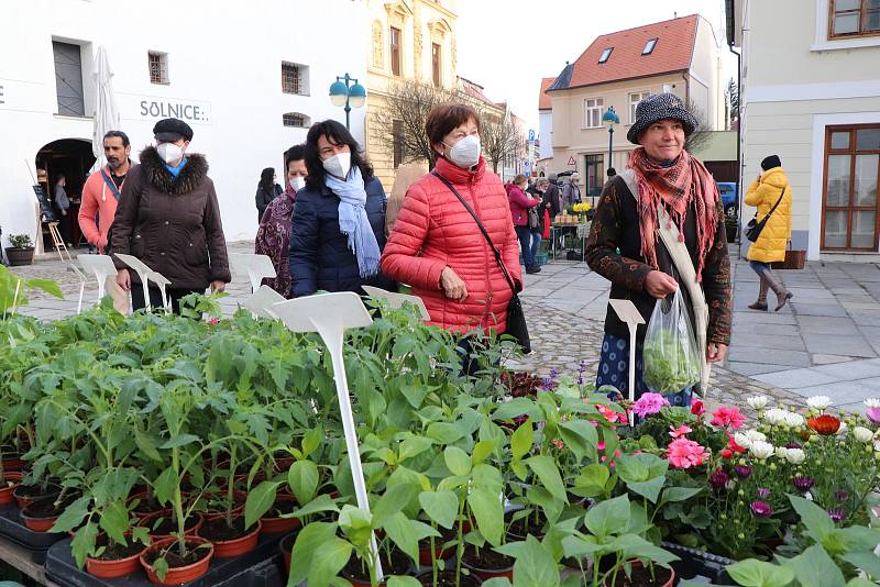 Farmářský trh na Piaristickém náměstí v Českých Budějovicích je opět otevřen.