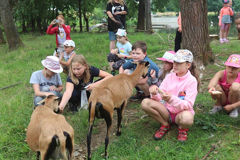 Příměstský tábor VSKH Pohodáři na malé farmě u Pilmanova rybníka v Českých Budějovicích.