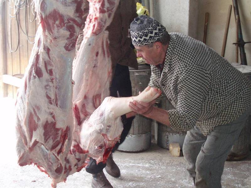 Než se dostanou na stůl výborné zabijačkové pochoutky, stojí to spoustu úsilí. Redaktor Českobudějovického deníku si to vyzkoušel na vlastní kůži