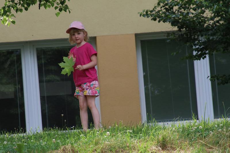 Koncept Lanna nabízí v Budějovicích pravidelnou lodní dopravu i tématické plavby.