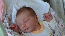 Petra Horová a Petr Oberfalcer přivítali 9. 6. 2021 v 10.13 h. na světě svou prvorozenou dceru Nelu Oberfalcerovou. Její porodní váha byla 3,80 kg. Žít bude v Písku.