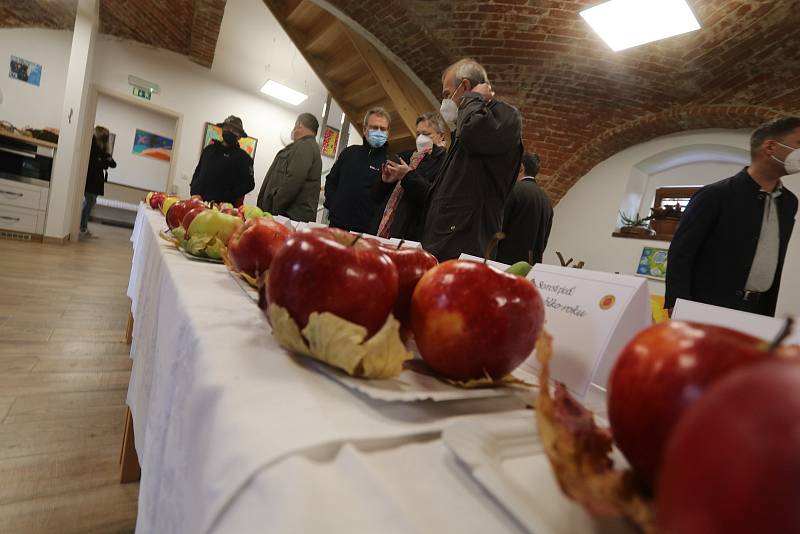 Chelčické tradiční Slavnosti plodů se konaly 23. října 2021 u kostela sv. Martina. Hlavním mottem akce je prezentace lokálních produktů.