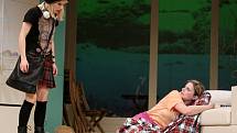 Činohra Jihočeského divadla uvedla 24. dubna premiéru komedie Žena jako druh. Na snímku Dana Verzichová jako Tess Thornton a Teresa Branna jako Molly Rivers.