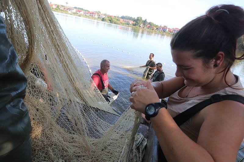 Letní odlov rybníka v Šindlových dvorech. Rybáři z českobudějovického střediska odlovili téměř tři metráky kaprů.