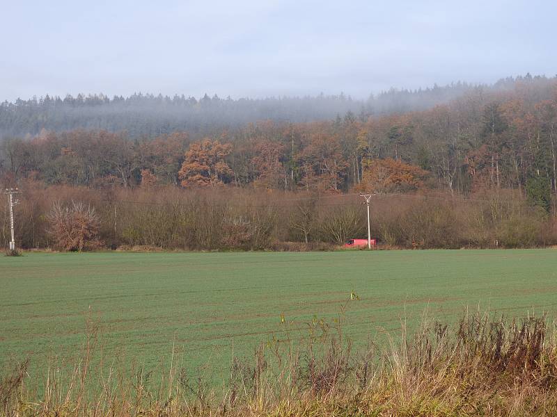 Ve středu se v Hluboké nad Vltavou uskutečnilo slavnostní otevření projektu "Výsadba dřevin Pod Pilou - Barokní kříž v lokalitě na Křesíně. Toho se účastnily i děti zde zdejší mateřské školy.