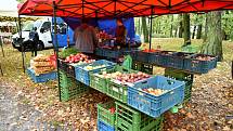 Farmářské trhy mohli lidé navštívit v Bedřichových sadech v Týně nad Vltavou.