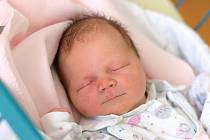 Natálie Badia se narodila 28. 7. 2020. Maminka Martina Jarešová ji přivedla na svět 28. 7. 2020 ve 3.20 h., vážila 3,31 kg. Poznávat svět bude v krajském městě.