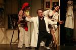 Komickou operu Don Pasquale uvede 2. prosince operní soubor Jihočeského divadla. Na snímku Eva Štruplopvá jako Norina, Michaela Korychová jako její garderobiérka a Alexandr Beň jako Doktor Malatesta.