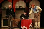Komickou operu Don Pasquale uvede 2. prosince operní soubor Jihočeského divadla.