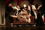 Komickou operu Don Pasquale uvede 2. prosince operní soubor Jihočeského divadla.